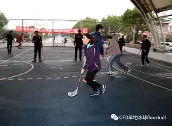 冰球淘汰赛掀起高潮，川蜀雷豹队鏖战漠南雄狮队，老将里程碑之夜——观赏性拉满的简单介绍-爱游戏手机版